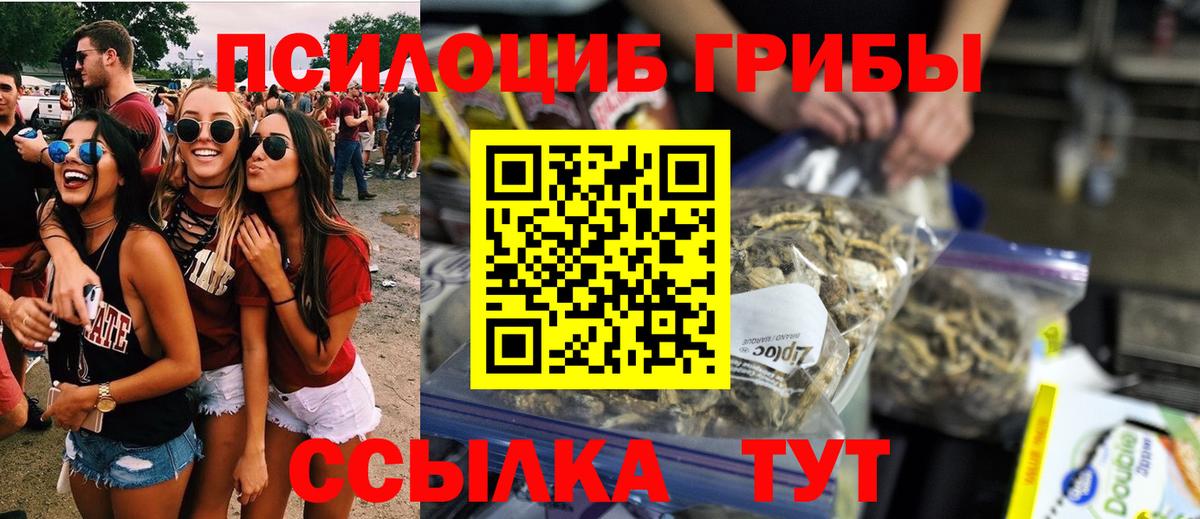 Всеволожск  Галлюциногенные грибы Cubensis  Вход с VPN 