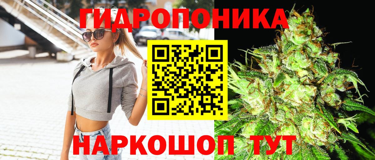 Каннабис OG Kush  Бошки марихуана индика  Вход с VPN  Всеволожск  Канабис Ganja  Бошки Шишки SATIVA & INDICA 